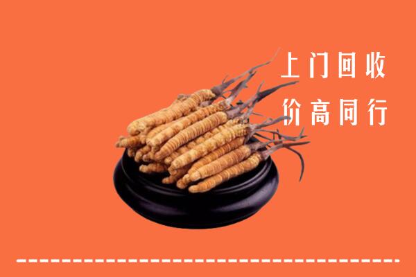 高价求购：汕尾市海丰县回收散虫草