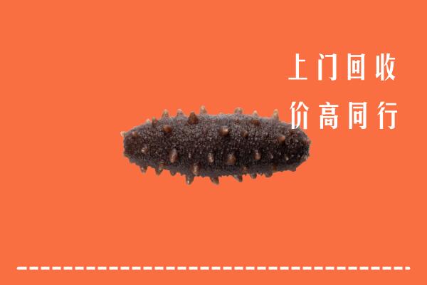 高价求购：汕尾市海丰县回收海参