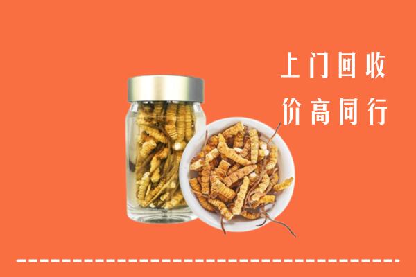 汕尾市海丰县回收冬虫夏草