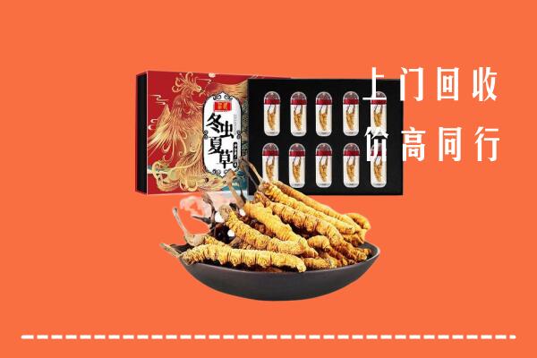 汕尾市海丰县回收虫草